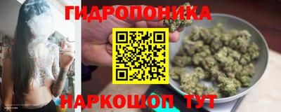 винт Владикавказ