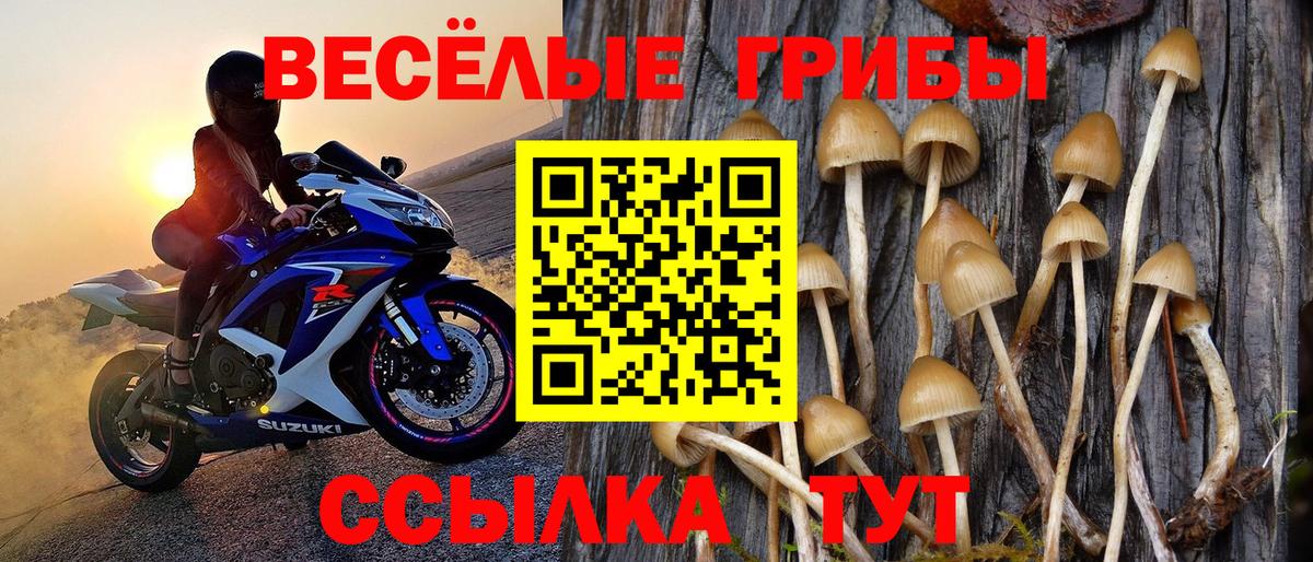Грязи  Галлюциногенные грибы MAGIC MUSHROOMS  Вход с VPN 